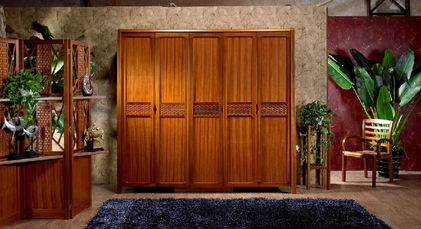 老年衣柜崭露头角 家居用品行业的又一金矿